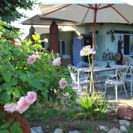 Lo Chalet Dell'Artista ตอร์เร เดล ลาโกปุชชีนี ภายนอก รูปภาพ