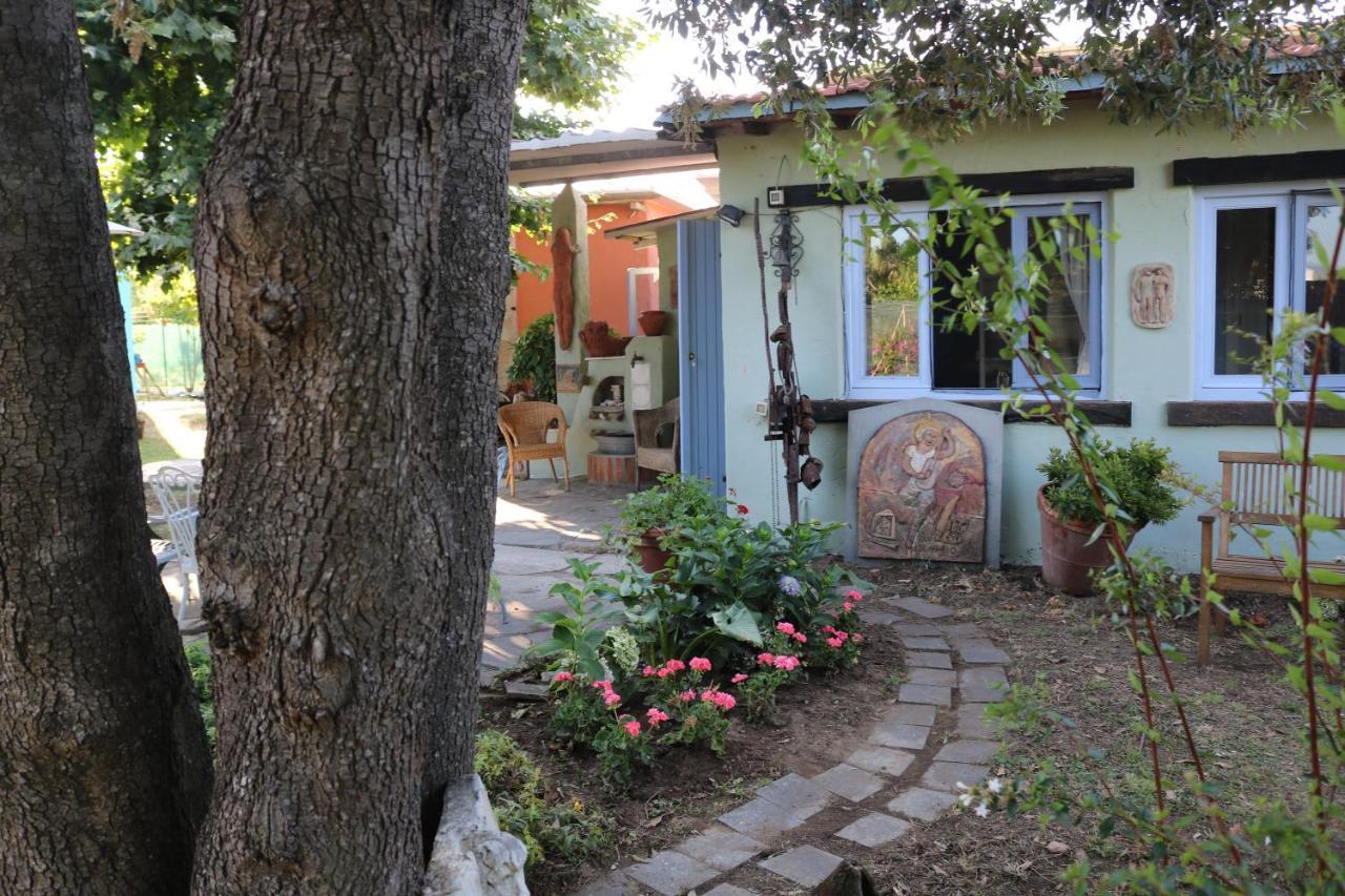Lo Chalet Dell'Artista ตอร์เร เดล ลาโกปุชชีนี ภายนอก รูปภาพ