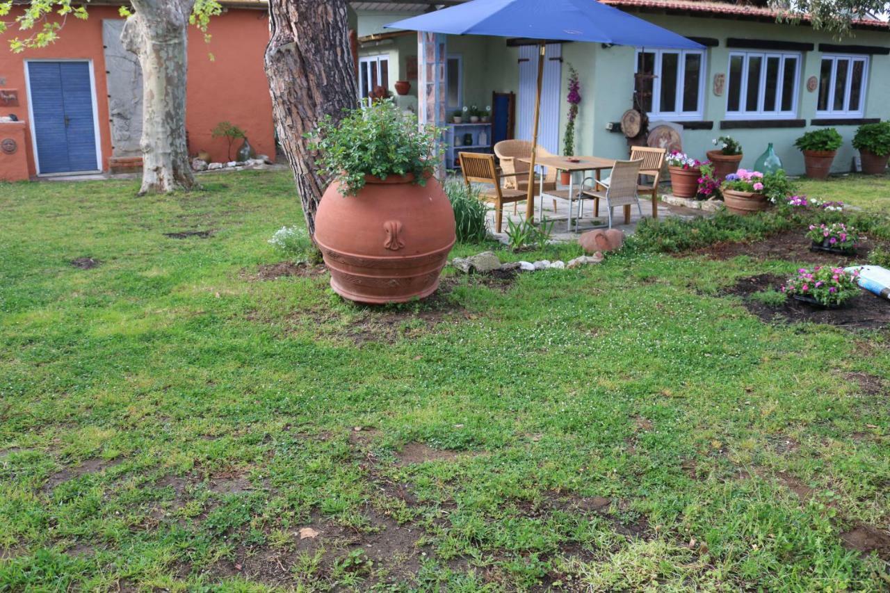 Lo Chalet Dell'Artista ตอร์เร เดล ลาโกปุชชีนี ภายนอก รูปภาพ