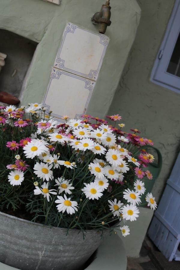 Lo Chalet Dell'Artista ตอร์เร เดล ลาโกปุชชีนี ภายนอก รูปภาพ