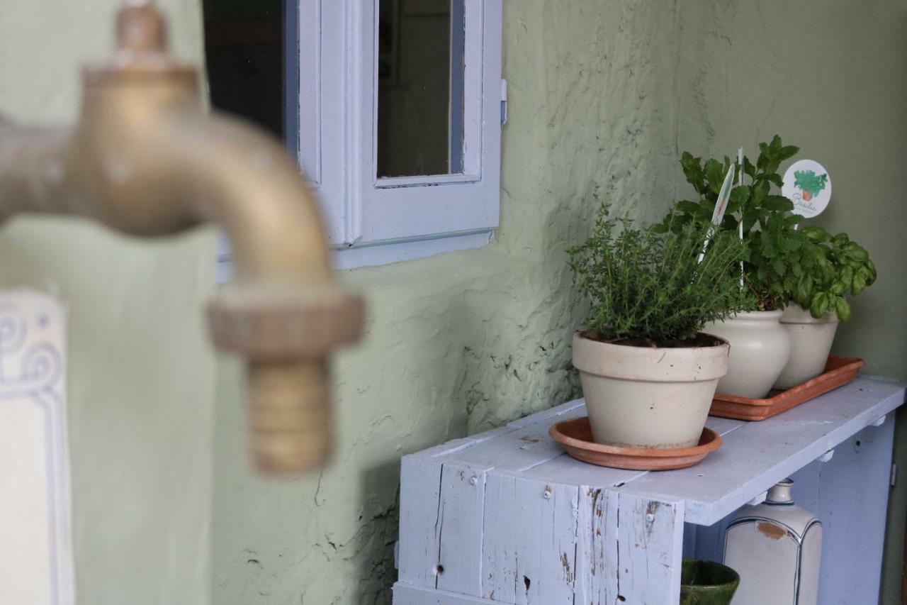 Lo Chalet Dell'Artista ตอร์เร เดล ลาโกปุชชีนี ภายนอก รูปภาพ