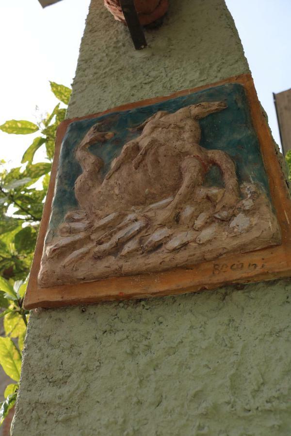 Lo Chalet Dell'Artista ตอร์เร เดล ลาโกปุชชีนี ภายนอก รูปภาพ