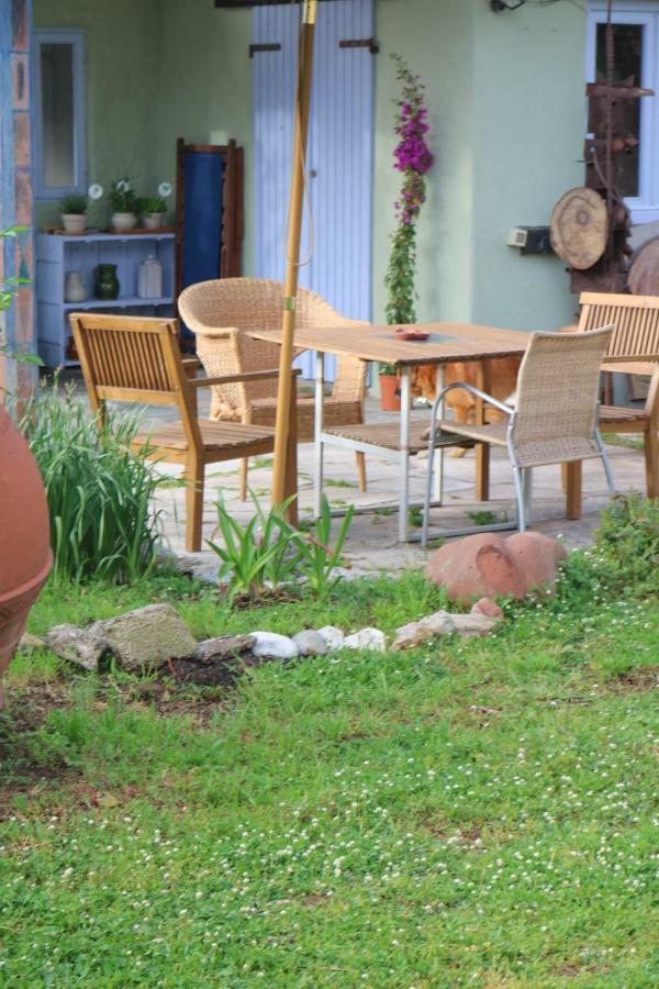 Lo Chalet Dell'Artista ตอร์เร เดล ลาโกปุชชีนี ภายนอก รูปภาพ