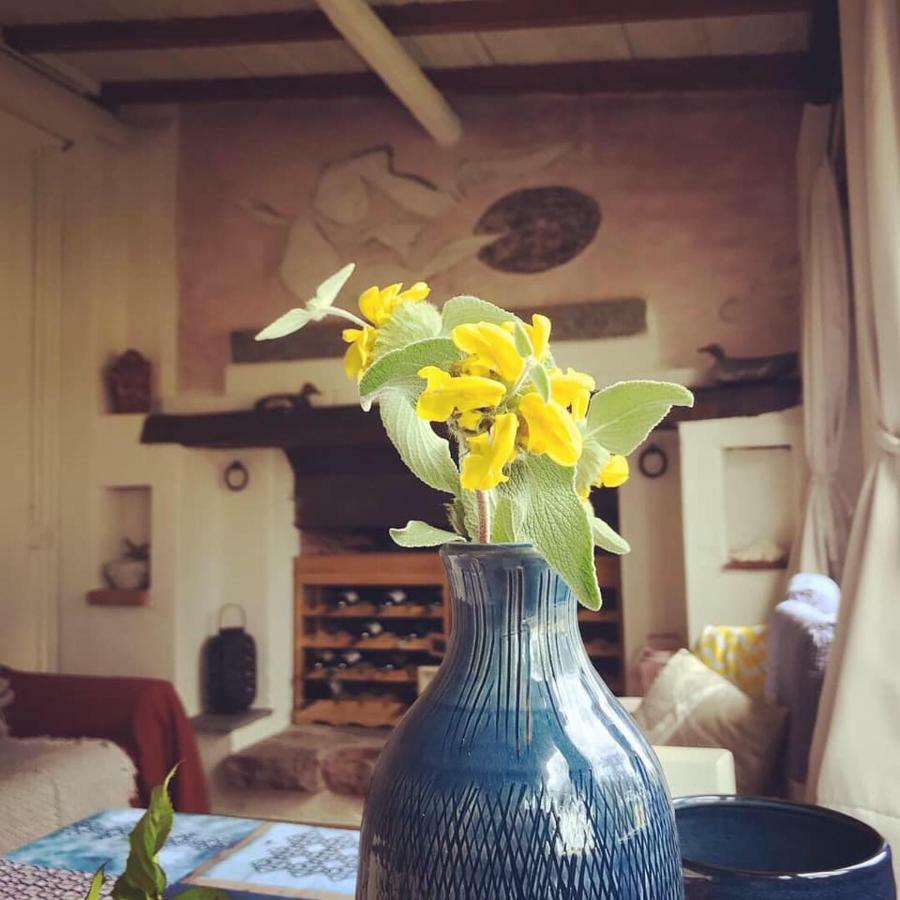 Lo Chalet Dell'Artista ตอร์เร เดล ลาโกปุชชีนี ภายนอก รูปภาพ